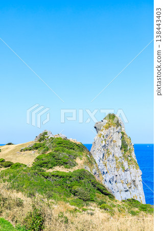 Saru-iwa (Monkey Rock) in Spring, Iki City, Nagasaki Prefecture Saru-iwa (Monkey Rock) in Spring, Iki City, Nagasaki Prefecture 138443403