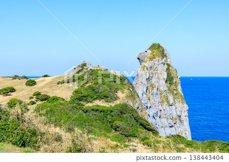 Saru-iwa (Monkey Rock) in Spring, Iki City, Nagasaki Prefecture Saru-iwa (Monkey Rock) in Spring, Iki City, Nagasaki Prefecture 138443404