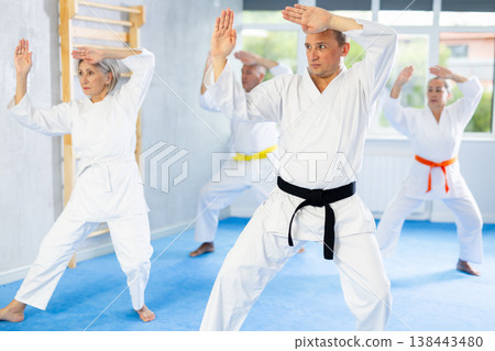 Diligent elderly women and men attendee of karate classes practicing kata standing in row with others in sports gym Diligent elderly women and men attendee of karate classes practicing kata standing in row with others in sports gym 138443480