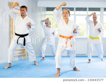 Senior students perform basic movements and repeat to hold pose, learning technique of kata Senior students perform basic movements and repeat to hold pose, learning technique of kata 138443577