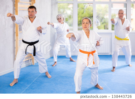 Senior students perform basic movements and repeat to hold pose, learning technique of kata Senior students perform basic movements and repeat to hold pose, learning technique of kata 138443726