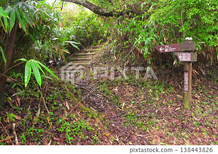 伊豆半島,靠近加蘭山,從公路到山路,是通往西伊豆天際線伊豆山脊步道的入口。 伊豆半島,靠近加蘭山,從公路到山路,是通往西伊豆天際線伊豆山脊步道的入口。 138443826