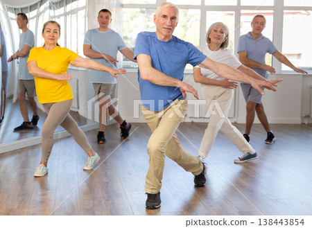 Portrait of active mature people enjoying modern energetic dancing in a group in studio 138443854