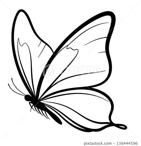 Elegant Butterfly Silhouettes and Line Art Elegant Butterfly Silhouettes and Line Art 138444596