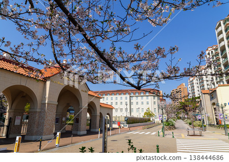 Flower Michi Flower Michi 138444686