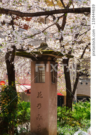 花Michi 138444689