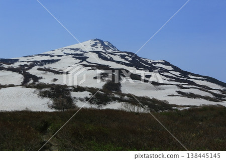 禪信沼澤的積雪已經開始融化了。 138445145