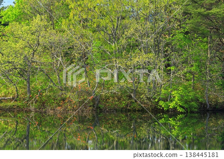 Fresh green Chokaiyama Fresh green Chokaiyama 138445181