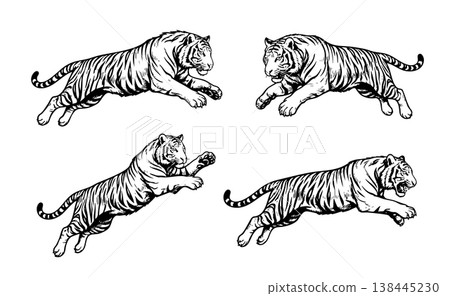 Dynamic set of 4 black and white leaping tiger vector illustrations. Highly detailed engraving style, ideal for sports mascots, logos, and apparel. Dynamic set of 4 black and white leaping tiger vector illustrations. Highly detailed engraving style, ideal for sports mascots, logos, and apparel. 138445230