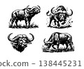 Set of 4 black and white African buffalo vector illustrations. Features grazing, charging, and portrait poses in a detailed vintage engraved style. 138445231