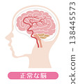 A normal brain (medical illustration) 138445573