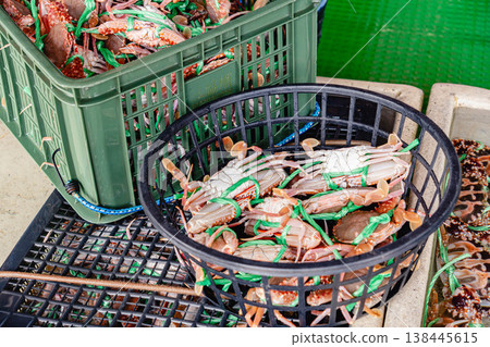 Crab fishing and harvesting scenes in Keelung, Taiwan (Portunus trituberculatus) Crab fishing and harvesting scenes in Keelung, Taiwan (Portunus trituberculatus) 138445615