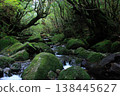 Yakushima 138445627