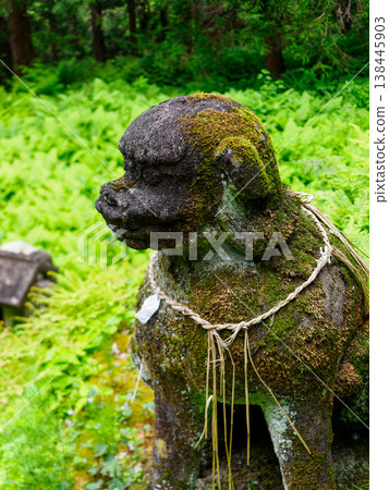 苔蘚覆蓋的神社裡的狛犬（守護獅犬） 138445903