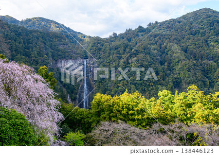 從和歌山縣青巖寺三重塔上眺望櫻花和那智瀑布 從和歌山縣青巖寺三重塔上眺望櫻花和那智瀑布 138446123