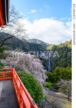 從和歌山縣青巖寺三重塔上眺望櫻花和那智瀑布 從和歌山縣青巖寺三重塔上眺望櫻花和那智瀑布 138446126