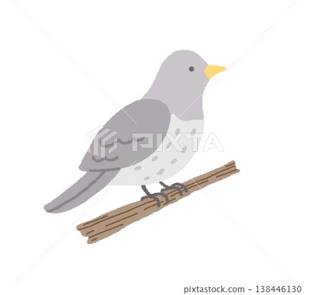 杜鵑鳥的簡單插圖 杜鵑鳥的簡單插圖 138446130