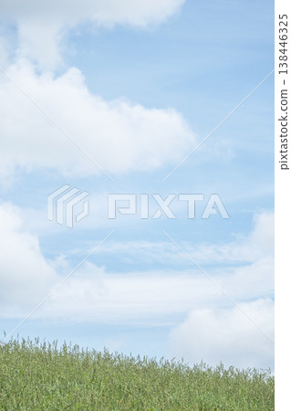 Refreshing summer blue skies and grasslands of the Hiruzen Plateau Refreshing summer blue skies and grasslands of the Hiruzen Plateau 138446325