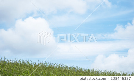 Refreshing summer blue skies and grasslands of the Hiruzen Plateau 138446327