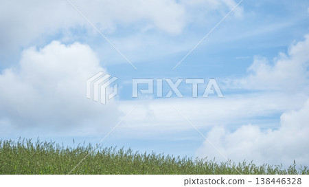Refreshing summer blue skies and grasslands of the Hiruzen Plateau Refreshing summer blue skies and grasslands of the Hiruzen Plateau 138446328