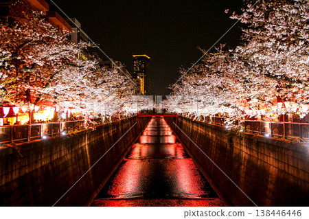 Cherry blossoms at night on Meguro River Cherry blossoms at night on Meguro River 138446446