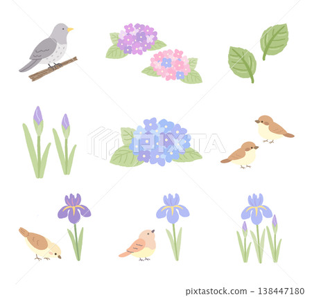 A set of illustrations of early summer flowers and small birds. A set of illustrations of early summer flowers and small birds. 138447180