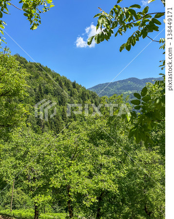 Green mountains with trees under cloudy sky. Natural landscape concept, summer day Green mountains with trees under cloudy sky. Natural landscape concept, summer day 138449171