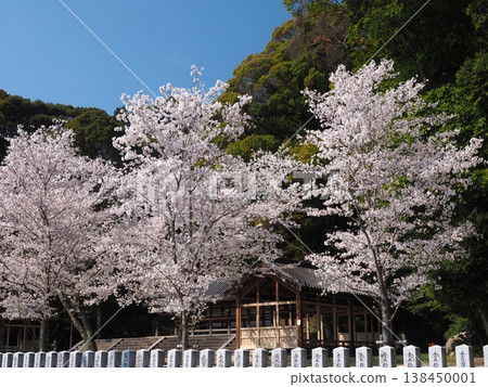 Springtime at Ikuma Grand Shrine Springtime at Ikuma Grand Shrine 138450001