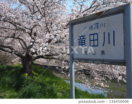 奈良縣生駒市龍田河 奈良縣生駒市龍田河 138450006