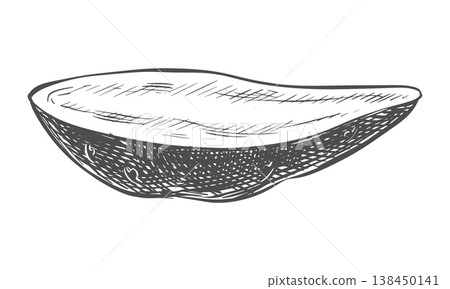 Sweet potato sketch. Vector of the vegetable. Half of an unpeeled Batat lies on a table. Hand drawn, imitating an engraving. Ink outline drawing of the yam. Linear drawing art of Ipomoea batatas. Sweet potato sketch. Vector of the vegetable. Half of an unpeeled Batat lies on a table. Hand drawn, imitating an engraving. Ink outline drawing of the yam. Linear drawing art of Ipomoea batatas. 138450141