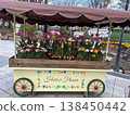 花車 138450442
