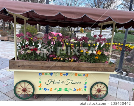花車 138450442