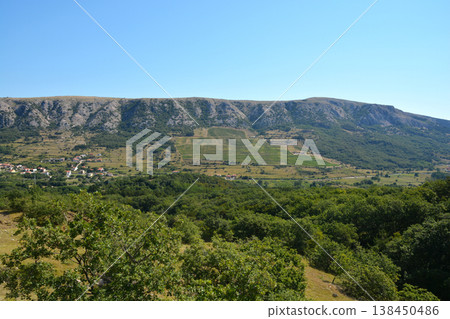 Panoramic View of Baska Valley Vineyards on Krk Island Panoramic View of Baska Valley Vineyards on Krk Island 138450486
