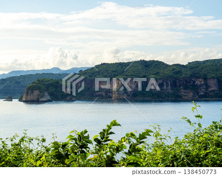 岩石屏風(沖繩縣西表島) 岩石屏風(沖繩縣西表島) 138450773
