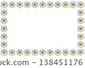 Shasta Daisy Frame 138451176