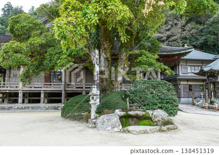 熊野三山青岸渡寺,天然紀念物,和歌山縣紅楠樹 熊野三山青岸渡寺,天然紀念物,和歌山縣紅楠樹 138451319