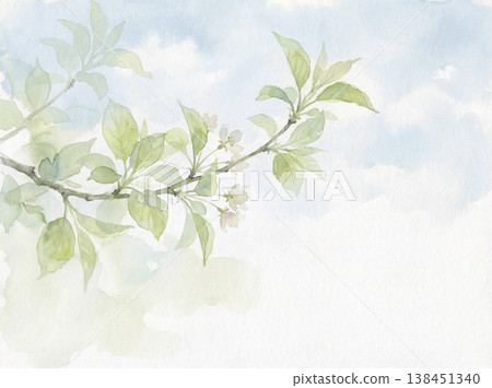 水彩畫：翠綠的葉子與蔚藍的天空 138451340