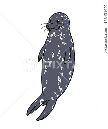 Harbor seal treading water 138451601