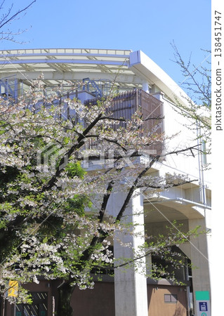 Iris Numa Park and Kita-Ayase Station in spring Iris Numa Park and Kita-Ayase Station in spring 138451747