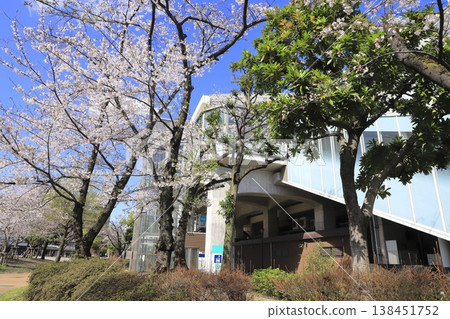 Iris Numa Park and Kita-Ayase Station in spring Iris Numa Park and Kita-Ayase Station in spring 138451752