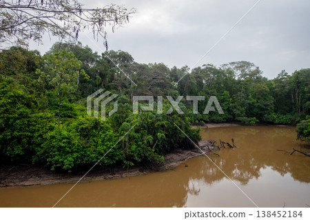 Exploring the dense greenery of Cuyabeno Reserve in the Amazon 138452184