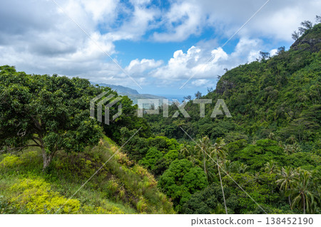 View of Atuona Bay from the mountains, Hiva Oa, French Polynesia 138452190