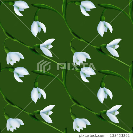 White snowdrops, green branches. Seamless floral botanical pattern. Digital watercolor hand drawn. For design of invitations, certificates, postcards, posters, flyers, textiles, fabrics, stationery White snowdrops, green branches. Seamless floral botanical pattern. Digital watercolor hand drawn. For design of invitations, certificates, postcards, posters, flyers, textiles, fabrics, stationery 138453261