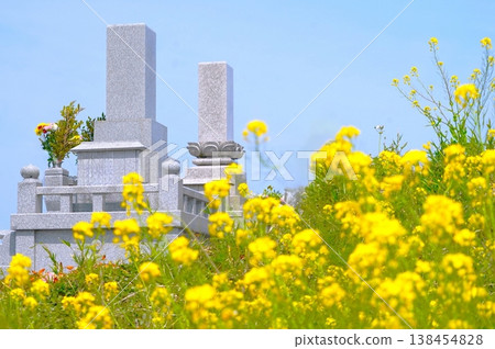 Graves, rapeseed flowers, and a spring blue sky Graves, rapeseed flowers, and a spring blue sky 138454828