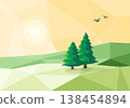 Stylized Low Poly Landscape with Conifer Trees 138454894