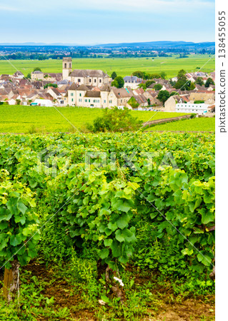 Summer vineyards landscape and village Pommard. Burgundy road. Cote de Beaune, Cote d'Or, France. Summer vineyards landscape and village Pommard. Burgundy road. Cote de Beaune, Cote d'Or, France. 138455055