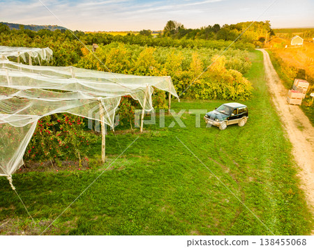 Apple orchard with protection net, France. Ripe red apples. Cultivar Braeburn. Aerial view Apple orchard with protection net, France. Ripe red apples. Cultivar Braeburn. Aerial view 138455068