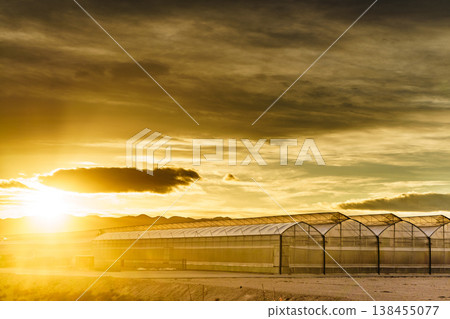 Sunset over greenhouses with mountains in the background in the evening. Industry agriculture in Spain Sunset over greenhouses with mountains in the background in the evening. Industry agriculture in Spain 138455077