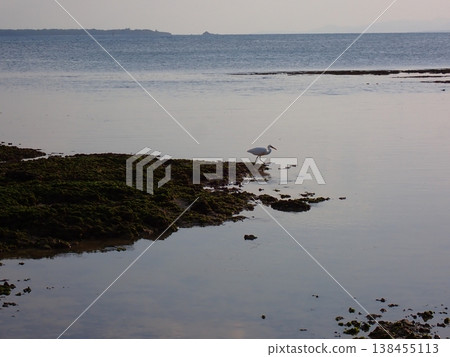 Ishigaki Island Sunset Ishigaki Island Sunset 138455113