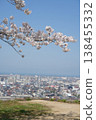 Cherry blossoms overlooking the city 138455332